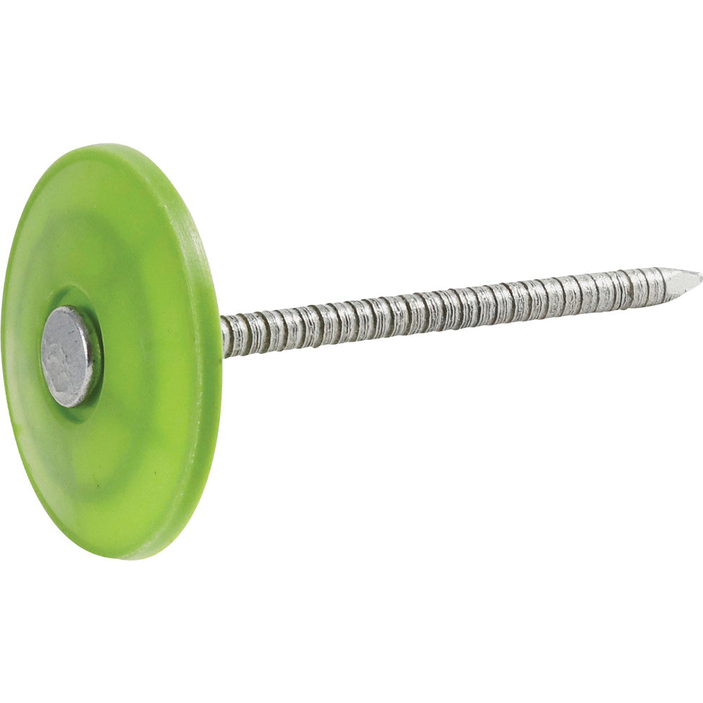 Ace 1 in. Cap Galvanized Plastic/Steel Nail Flat Head 1 lb Ace 1 in. Cap Galvanized Plastic/Steel Nail Flat Head 1 lb