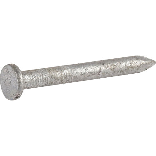 Ace 4D 1-1/2 in. Box Hot-Dipped Galvanized Steel Nail Flat Head 1 lb Ace 4D 1-1/2 in. Box Hot-Dipped Galvanized Steel Nail Flat Head 1 lb