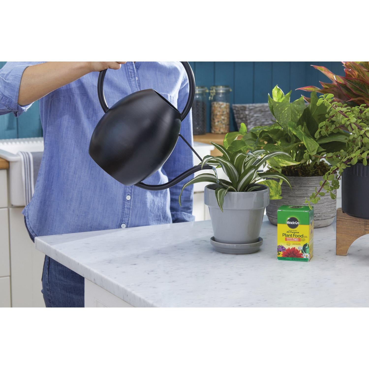 miracle gro all purpose plant food indoor Miracle-Gro® 2000992 Water Soluble All-Purpose Plant Food, Solid, Blue –  Jackson's Hardware